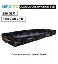 Mipatex HDPE Azolla Cultivation Bed 250 GSM 10ft x 4ft x 1ft (Black)